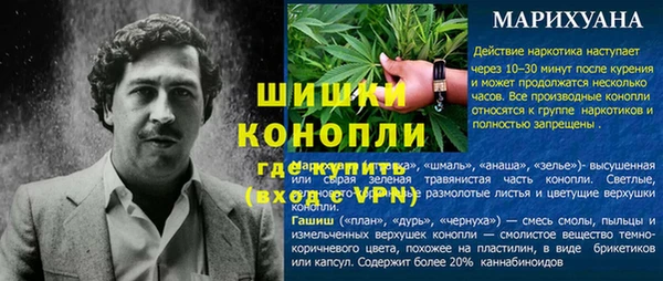 сатива Алексин