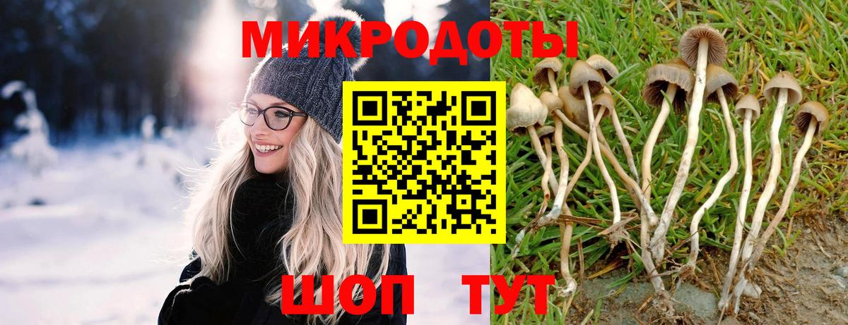 где найти   Псилоцибиновые грибы прущие грибы  Вход с VPN  Мыски  Псилоцибиновые грибы Cubensis 