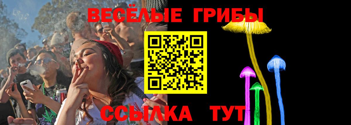 Псилоцибиновые грибы мицелий Мыски